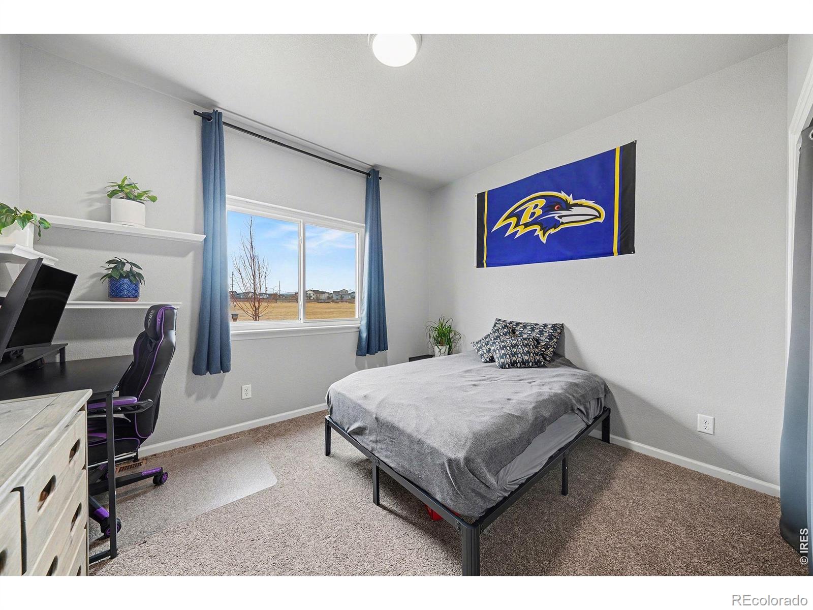 MLS Image #20 for 1194  sunrise circle,milliken, Colorado