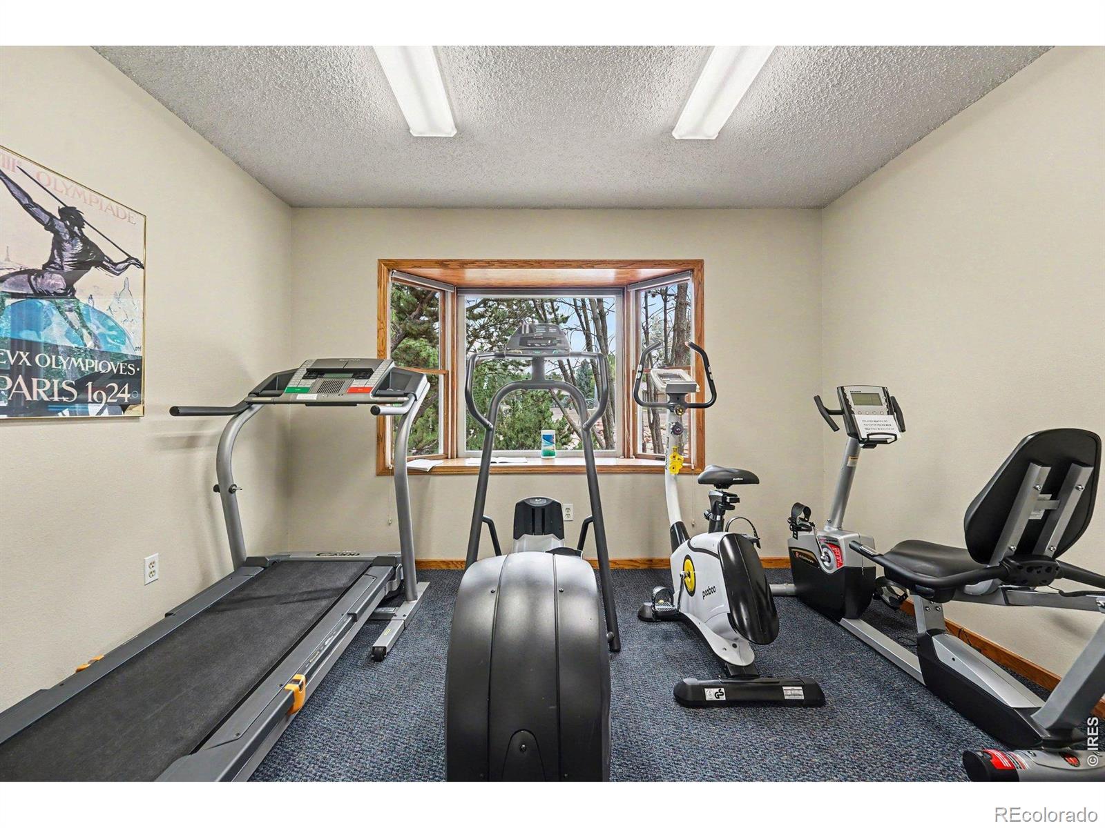 MLS Image #37 for 1566 w 29th street,loveland, Colorado