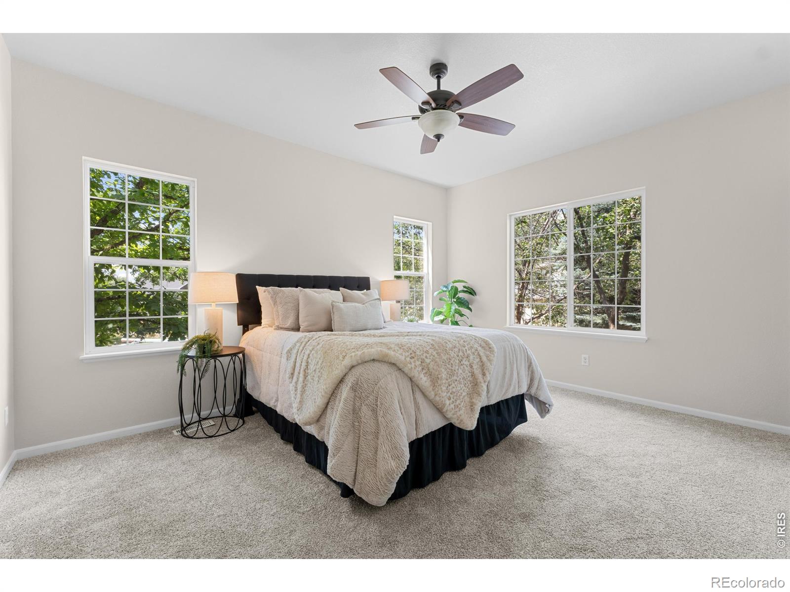 MLS Image #16 for 332  snowy owl circle,fort collins, Colorado
