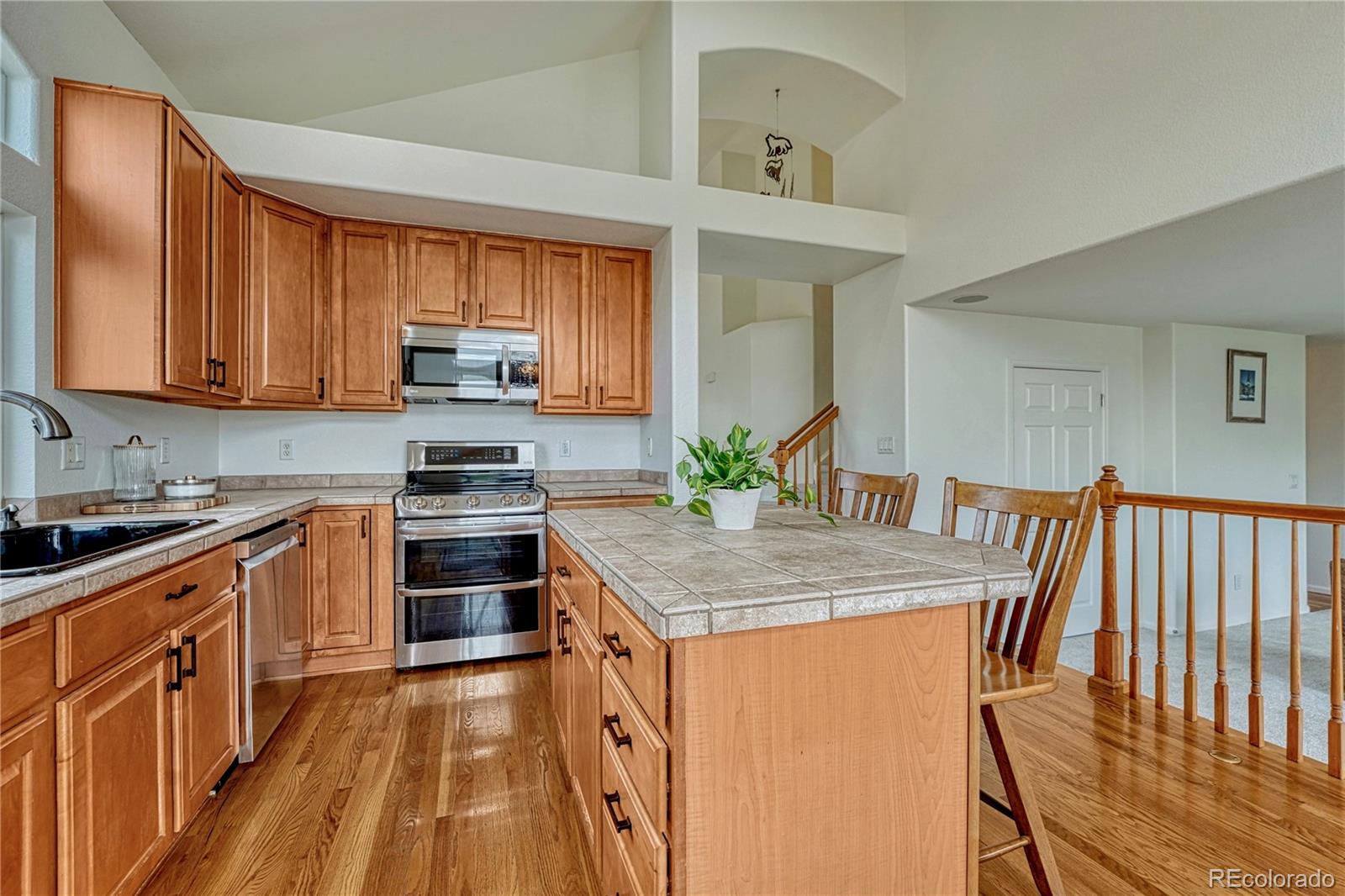 MLS Image #11 for 16786  trail sky circle,parker, Colorado