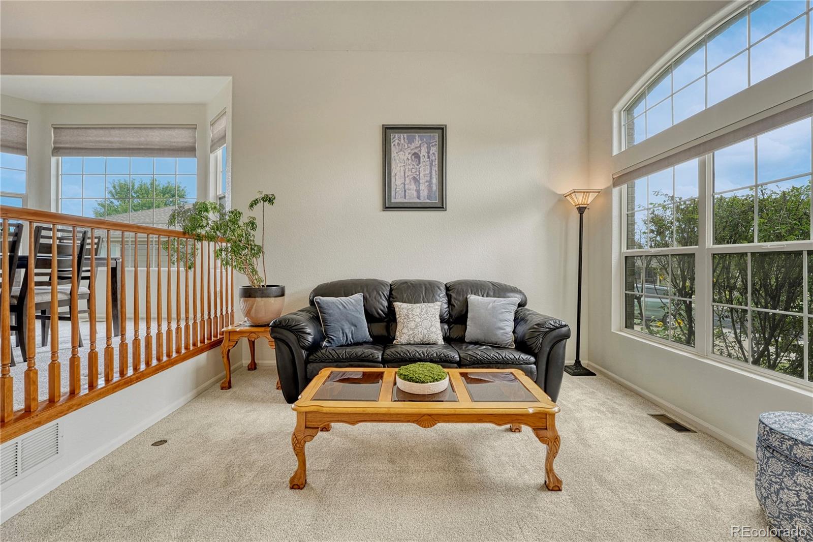 MLS Image #2 for 16786  trail sky circle,parker, Colorado