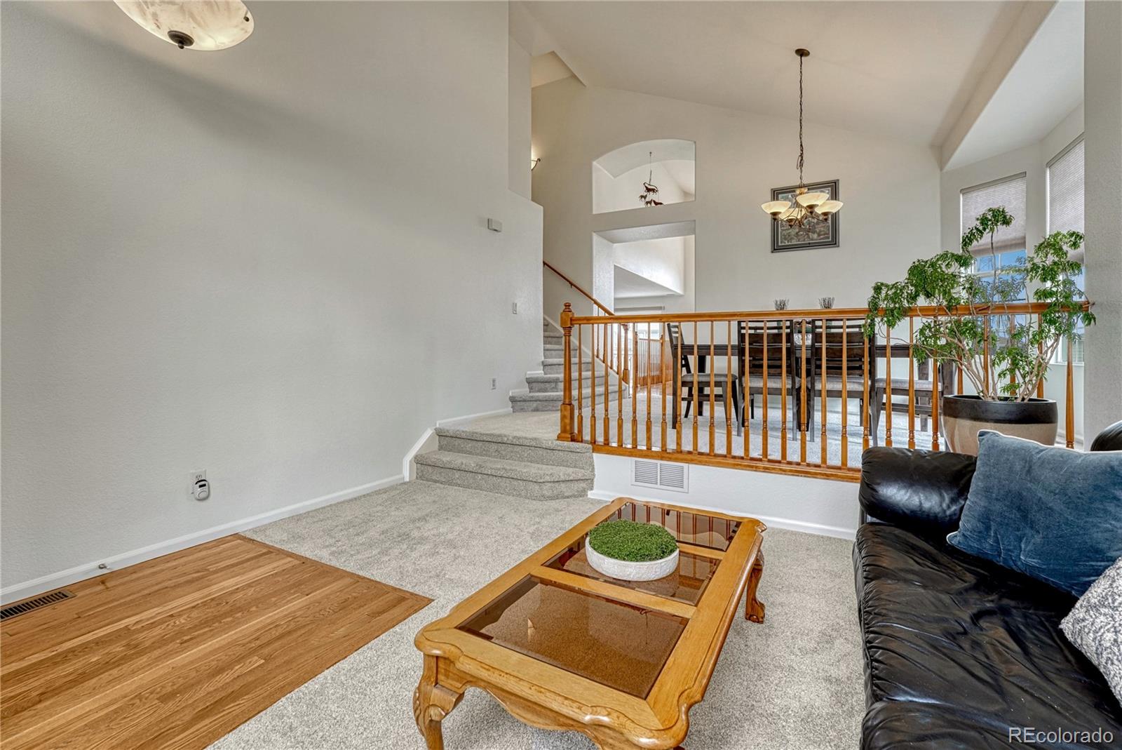 MLS Image #3 for 16786  trail sky circle,parker, Colorado