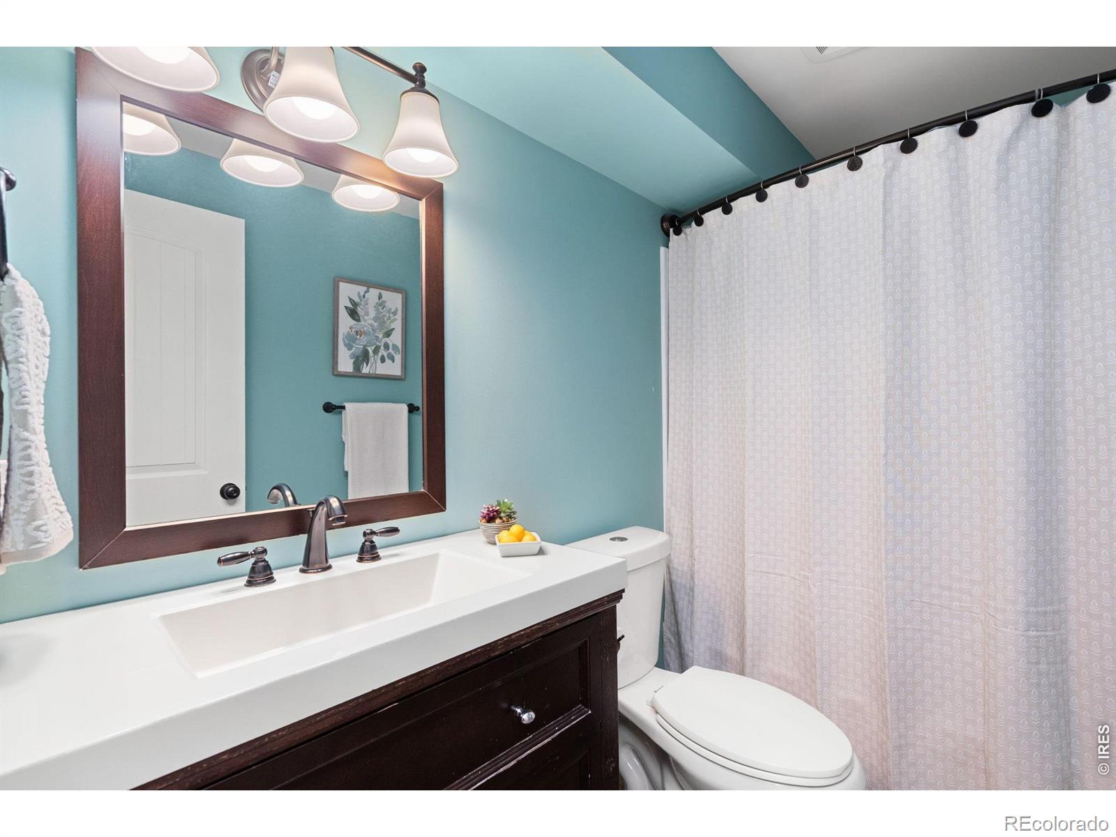 MLS Image #29 for 7374  ocean ridge street,wellington, Colorado