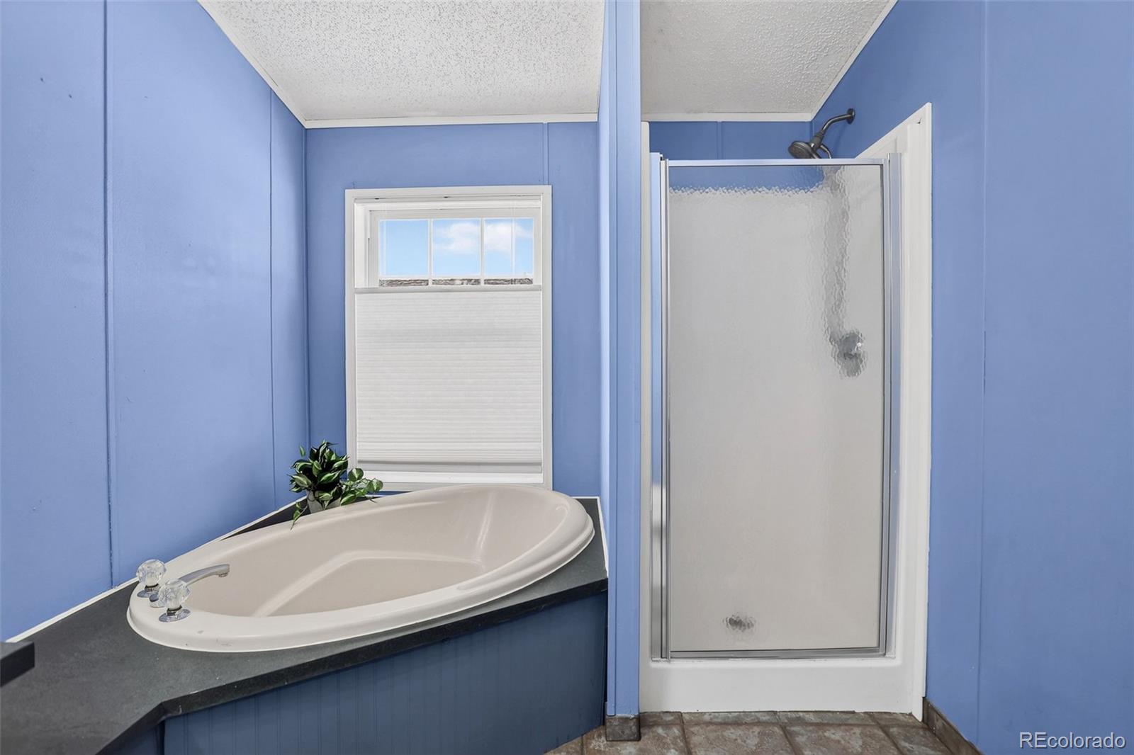MLS Image #20 for 5665  bryant street,denver, Colorado