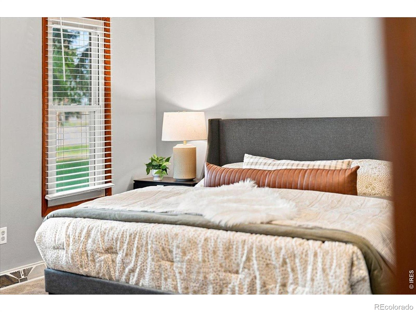 MLS Image #23 for 2124  sandstone drive,fort collins, Colorado