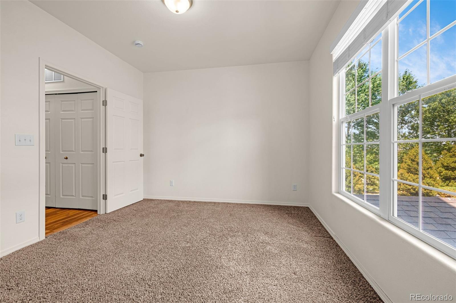 MLS Image #22 for 4875  wells branch heights 202,colorado springs, Colorado