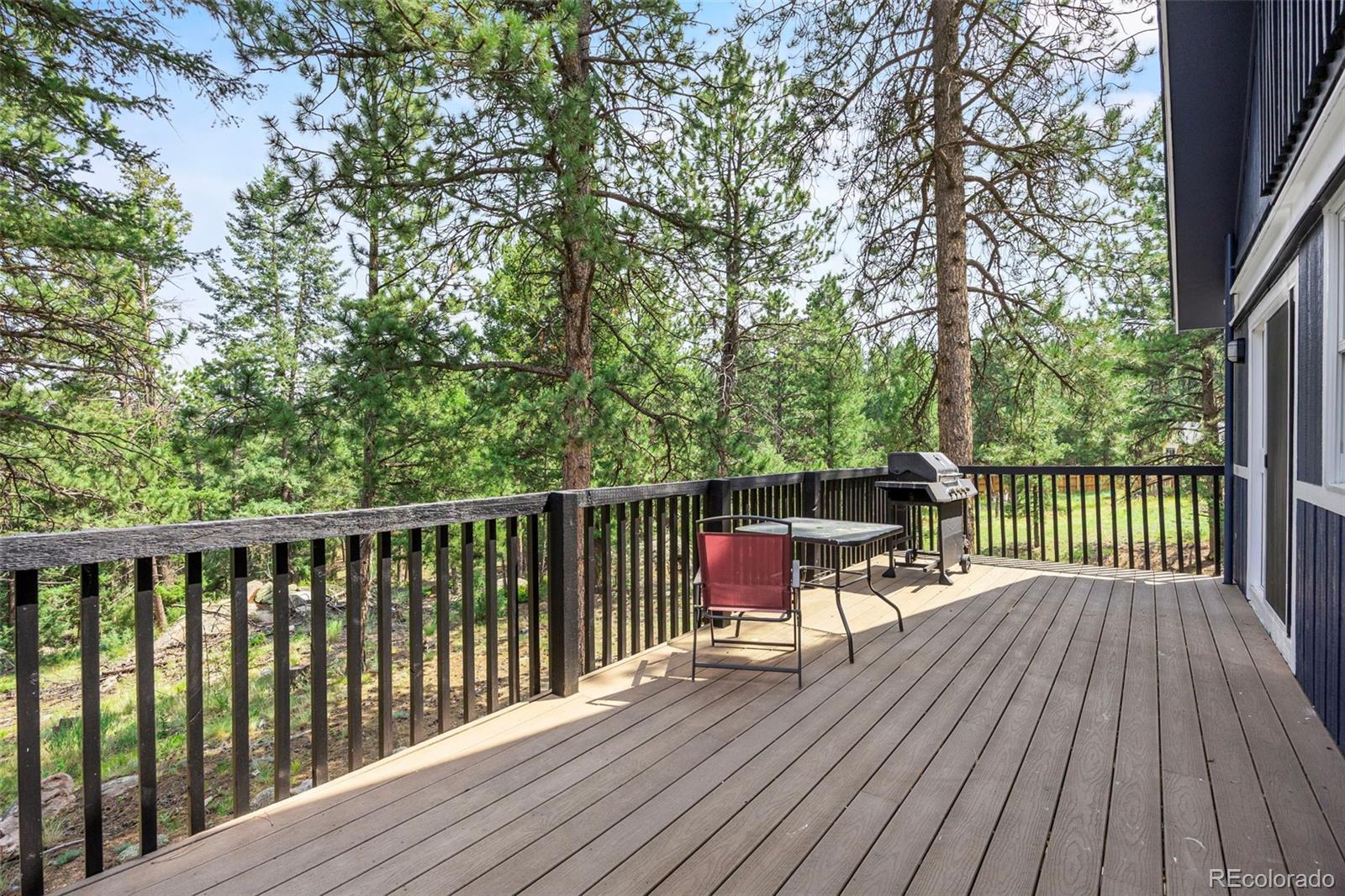 MLS Image #13 for 198  blueberry trail,bailey, Colorado