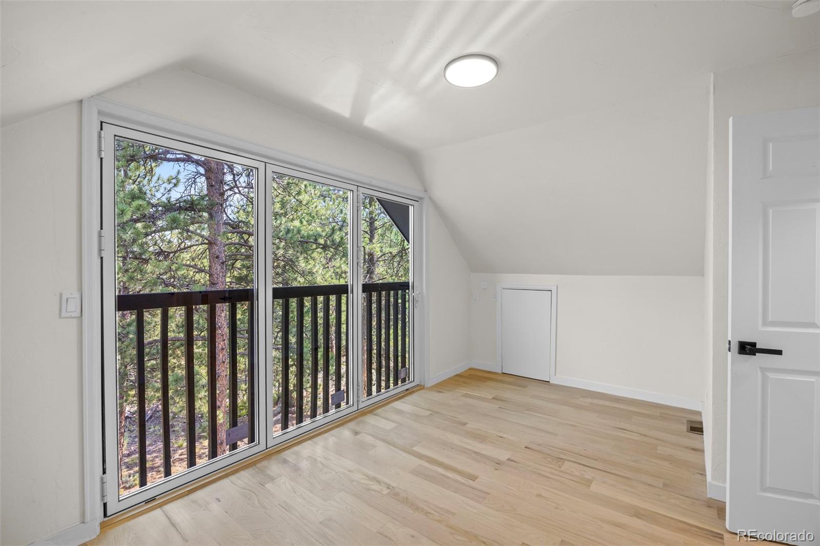MLS Image #15 for 198  blueberry trail,bailey, Colorado