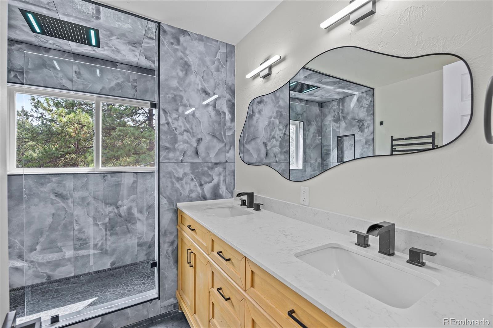 MLS Image #17 for 198  blueberry trail,bailey, Colorado