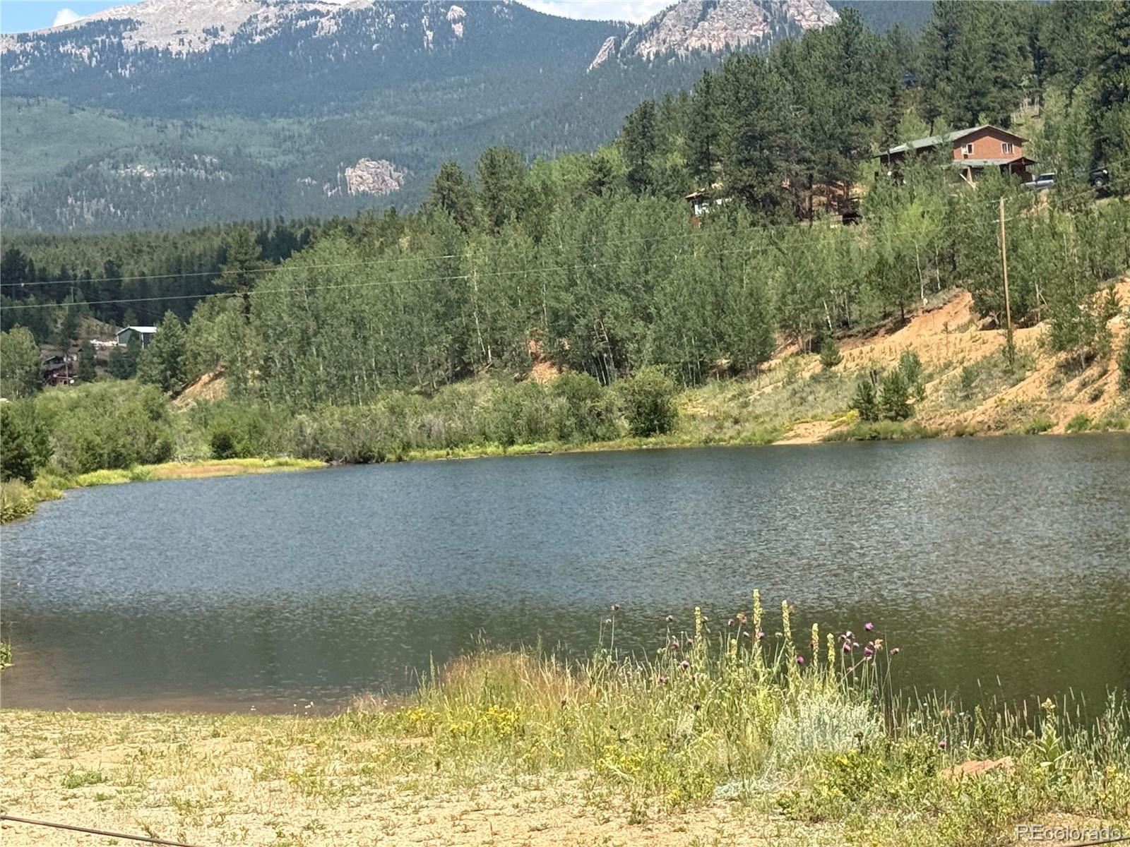 MLS Image #1 for 63  fitzsimmons road,bailey, Colorado