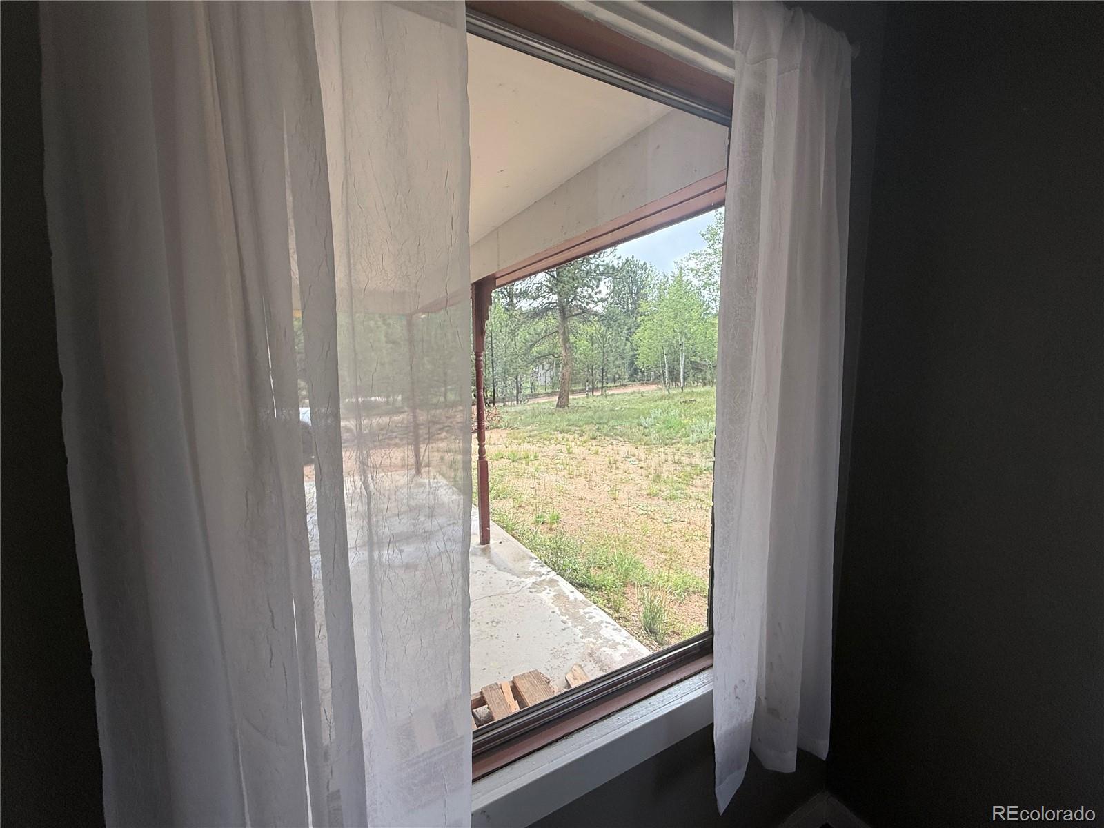 MLS Image #13 for 63  fitzsimmons road,bailey, Colorado
