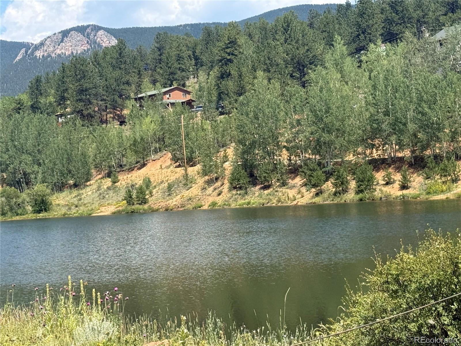 MLS Image #2 for 63  fitzsimmons road,bailey, Colorado