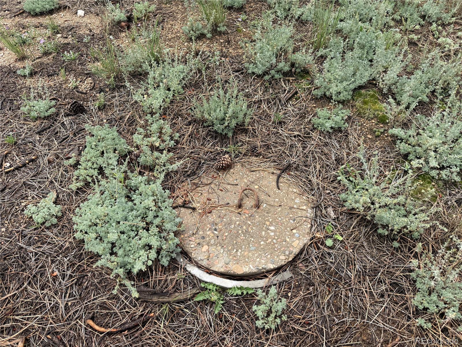 MLS Image #22 for 63  fitzsimmons road,bailey, Colorado