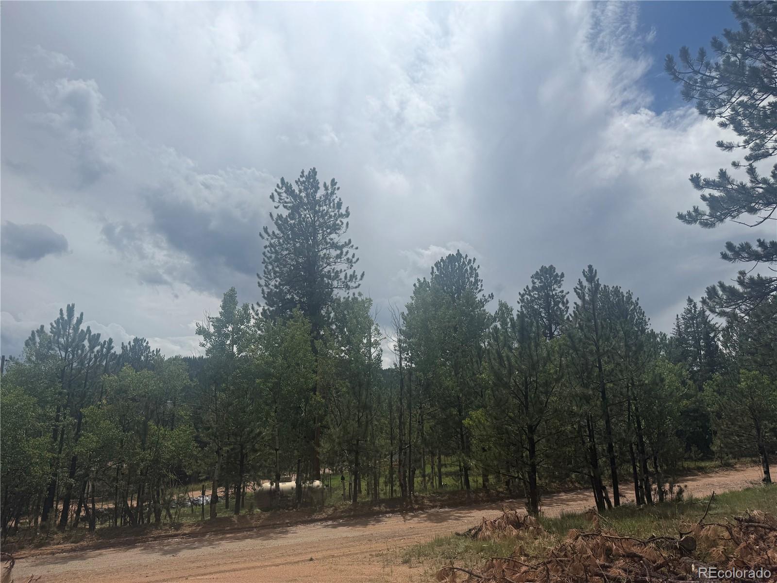 MLS Image #25 for 63  fitzsimmons road,bailey, Colorado