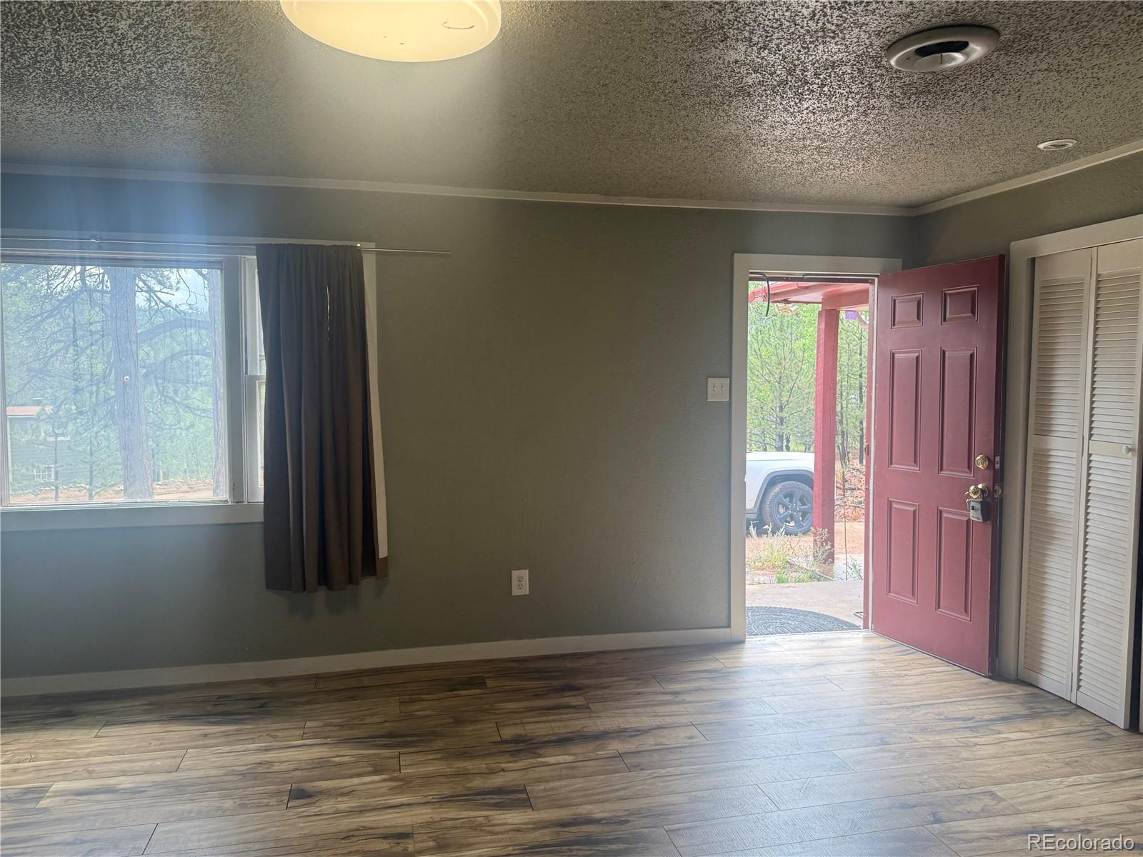 MLS Image #6 for 63  fitzsimmons road,bailey, Colorado