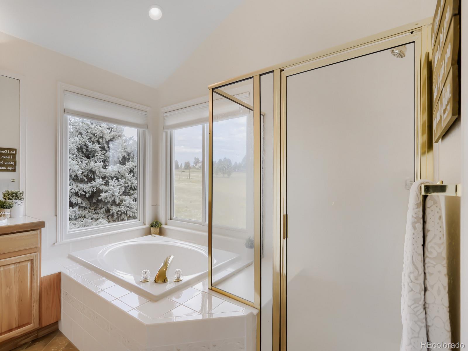 MLS Image #14 for 10720  wildridge court,parker, Colorado