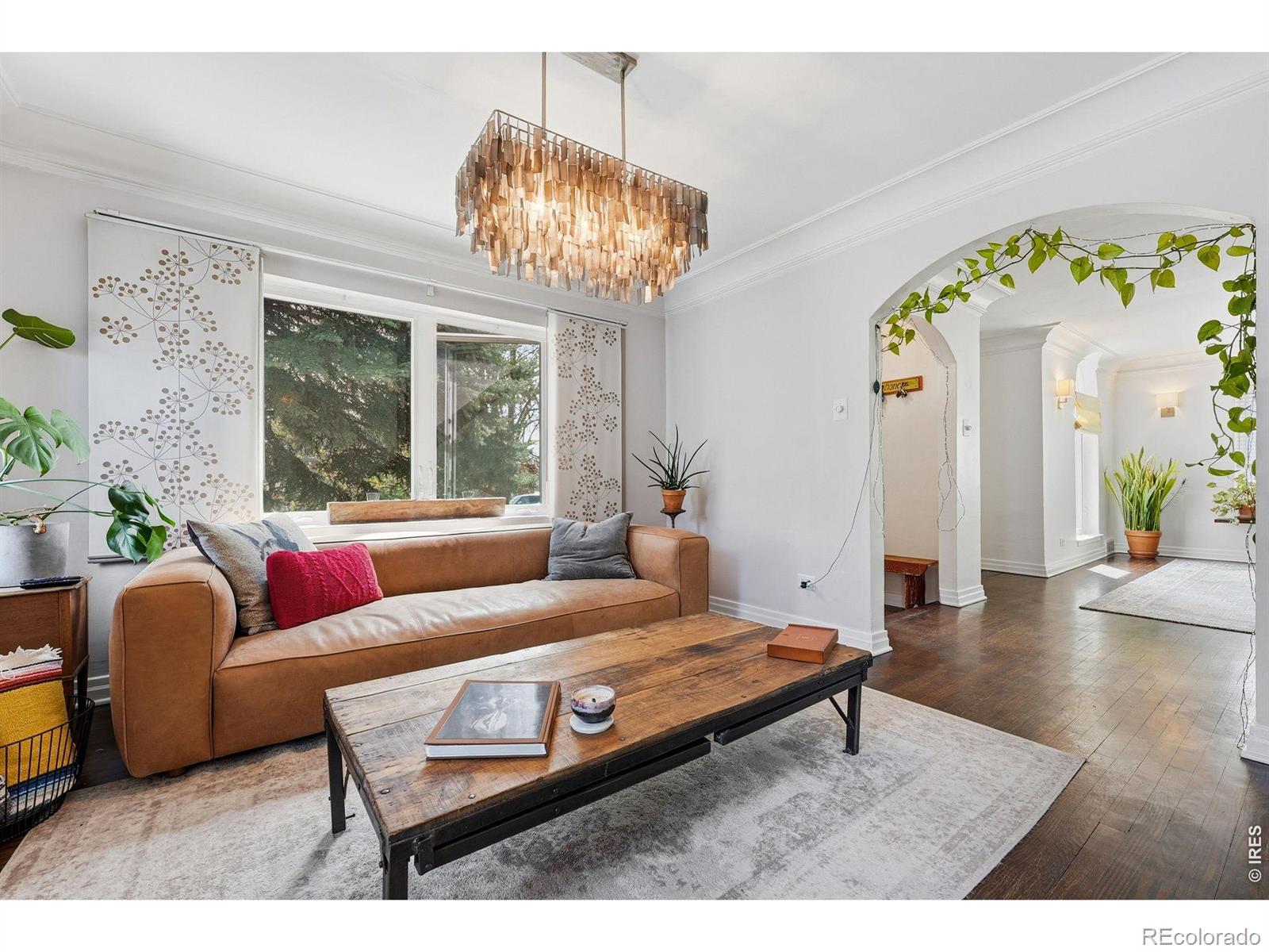 MLS Image #8 for 1533  oneida street,denver, Colorado