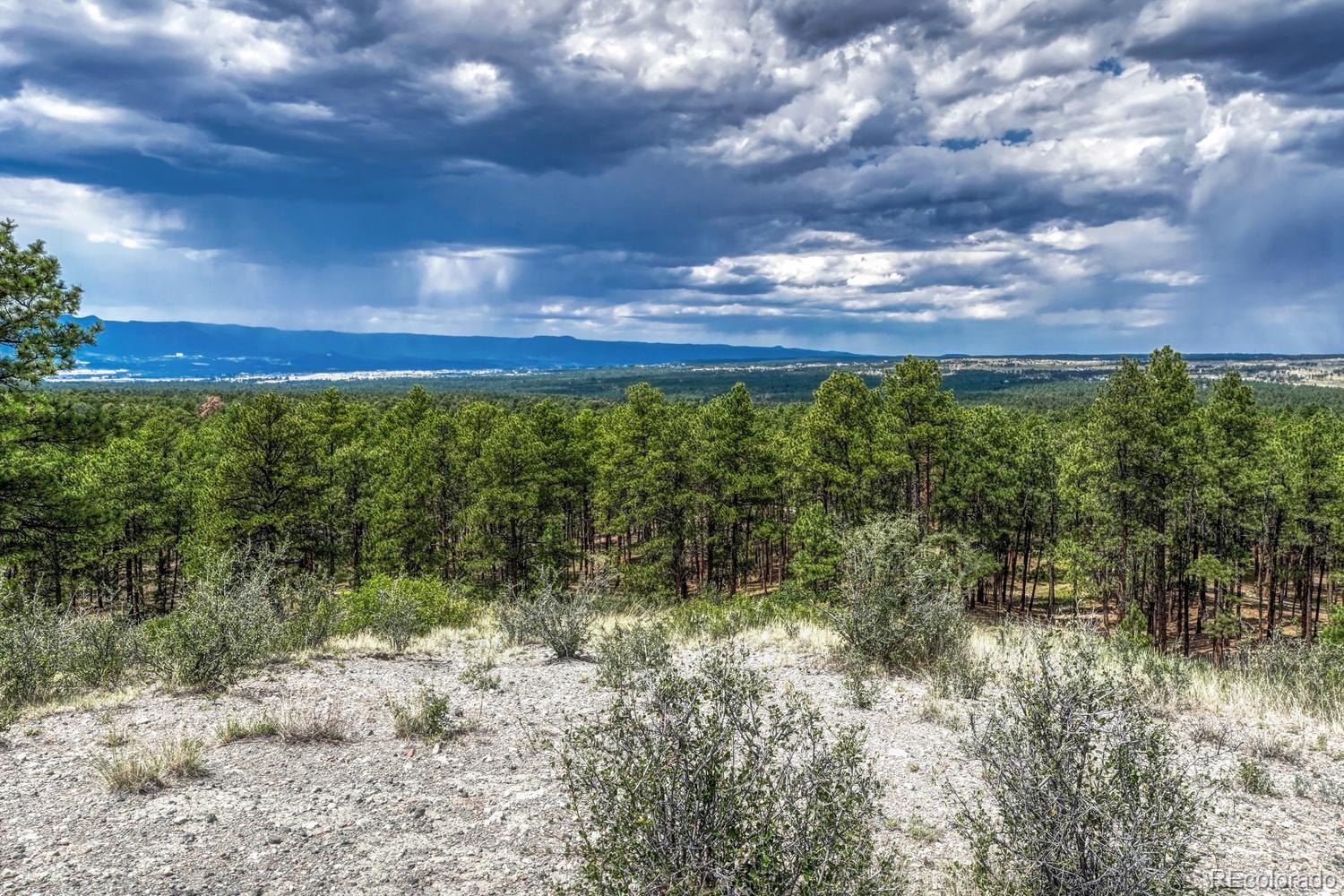 MLS Image #44 for 6435  burgess road,colorado springs, Colorado