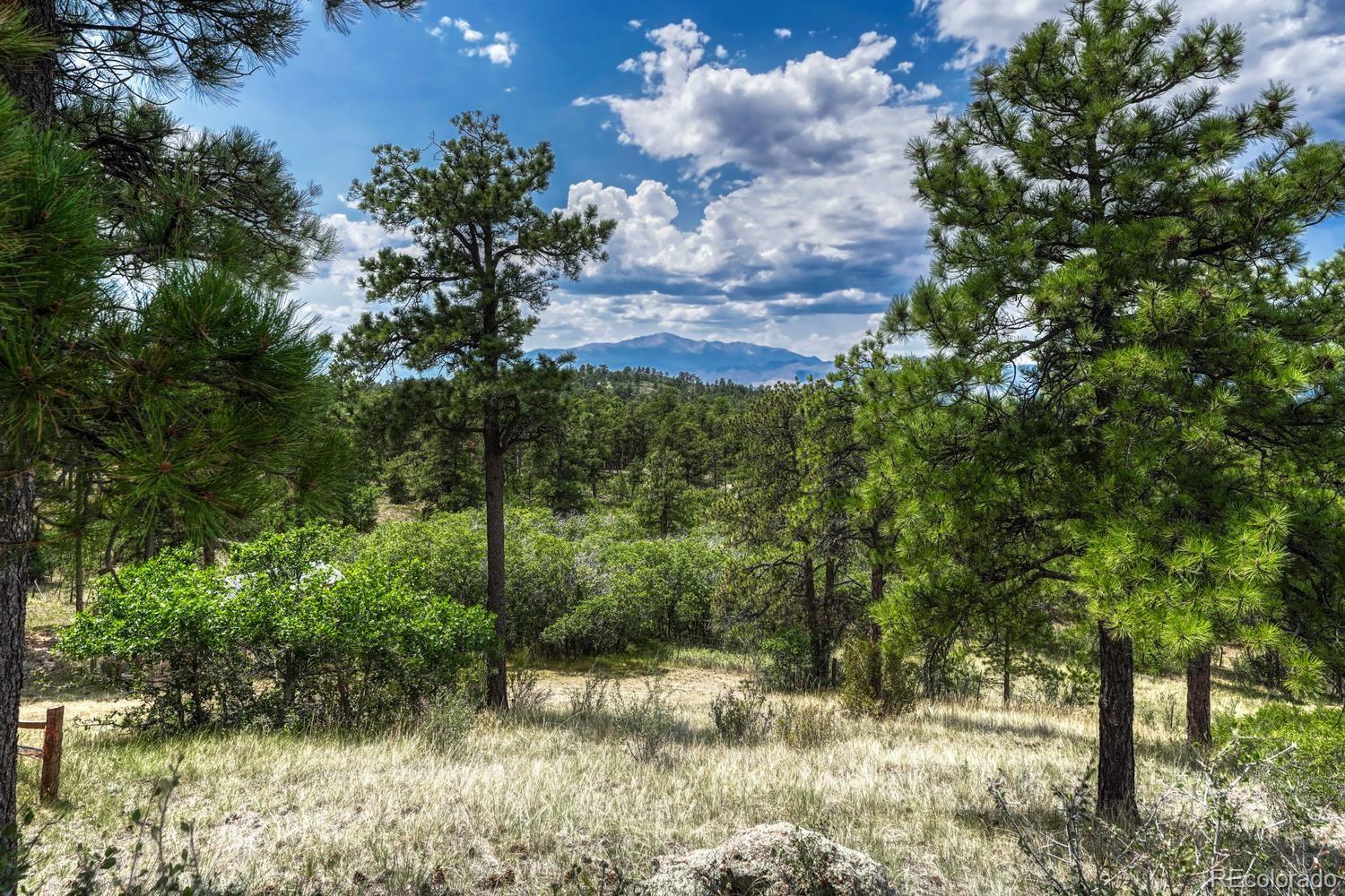 MLS Image #8 for 6435  burgess road,colorado springs, Colorado