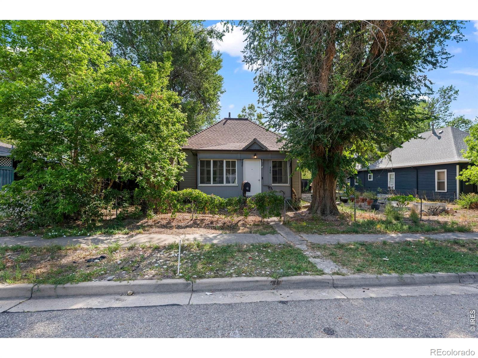 MLS Image #2 for 340  atwood street,longmont, Colorado