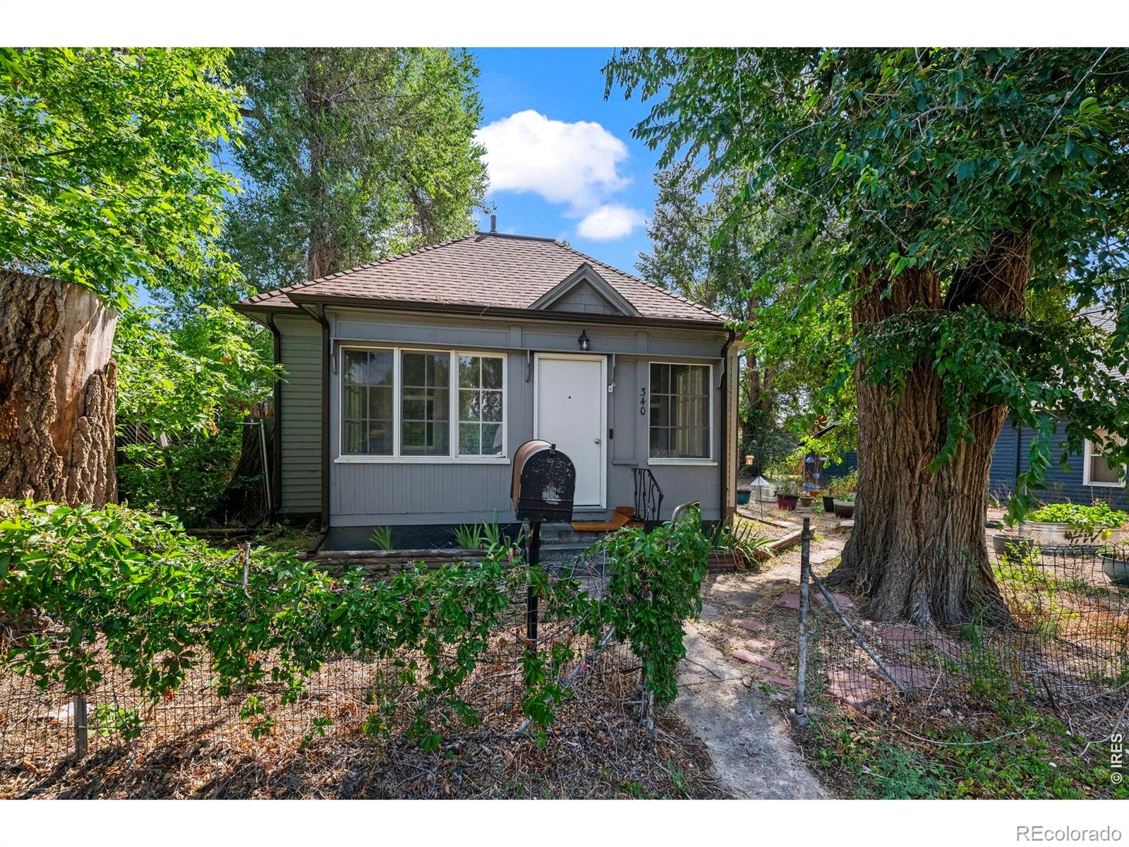 MLS Image #4 for 340  atwood street,longmont, Colorado
