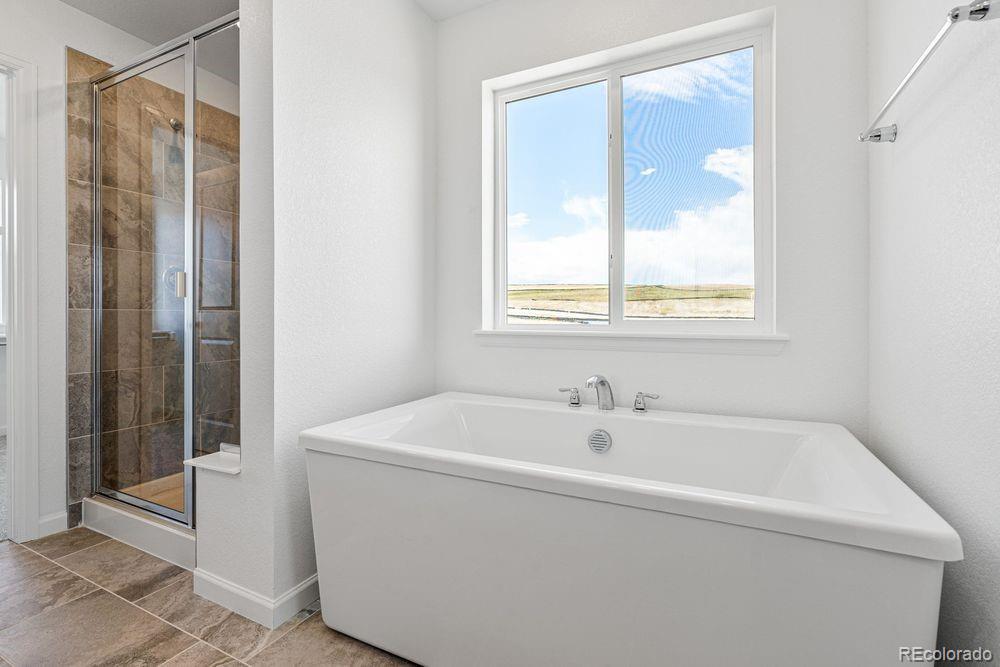 MLS Image #4 for 8721  pennycress drive,littleton, Colorado