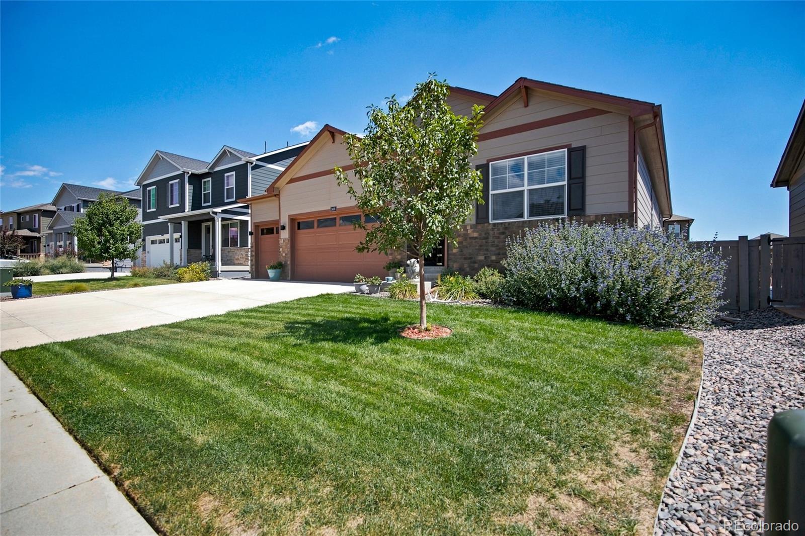 MLS Image #3 for 1496  vantage parkway,berthoud, Colorado