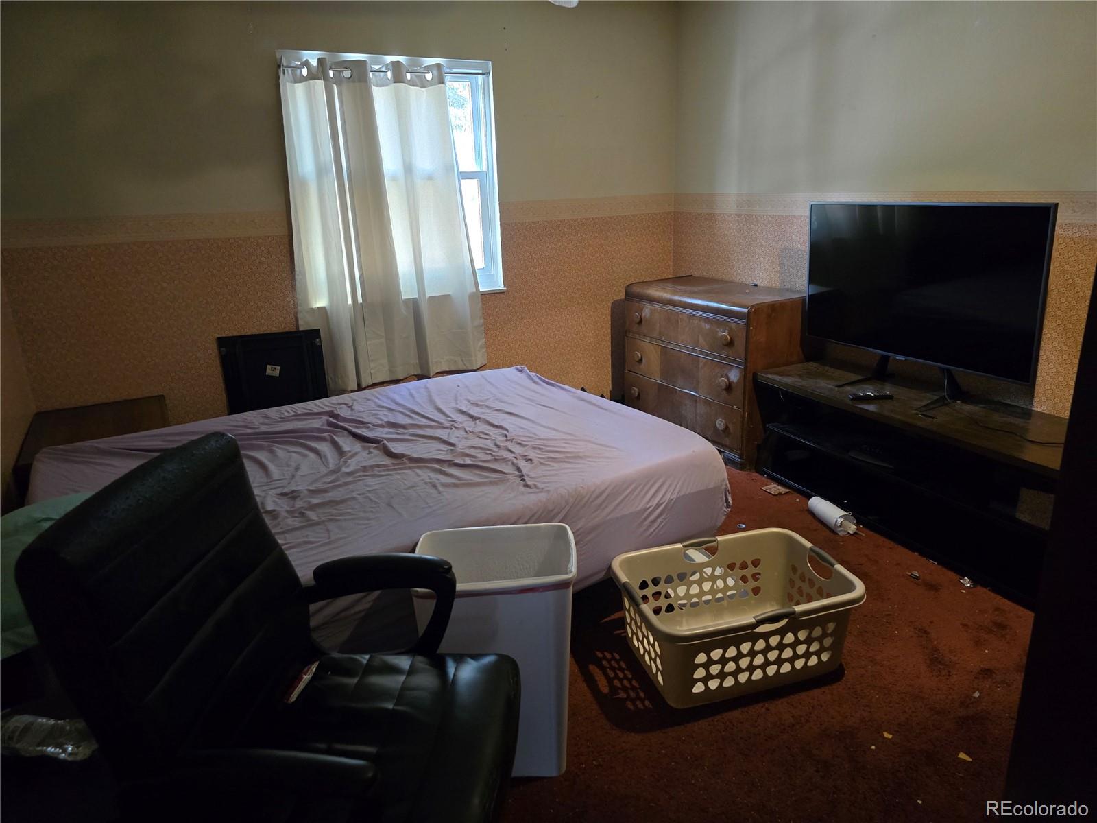 MLS Image #14 for 4810  constitution avenue,colorado springs, Colorado