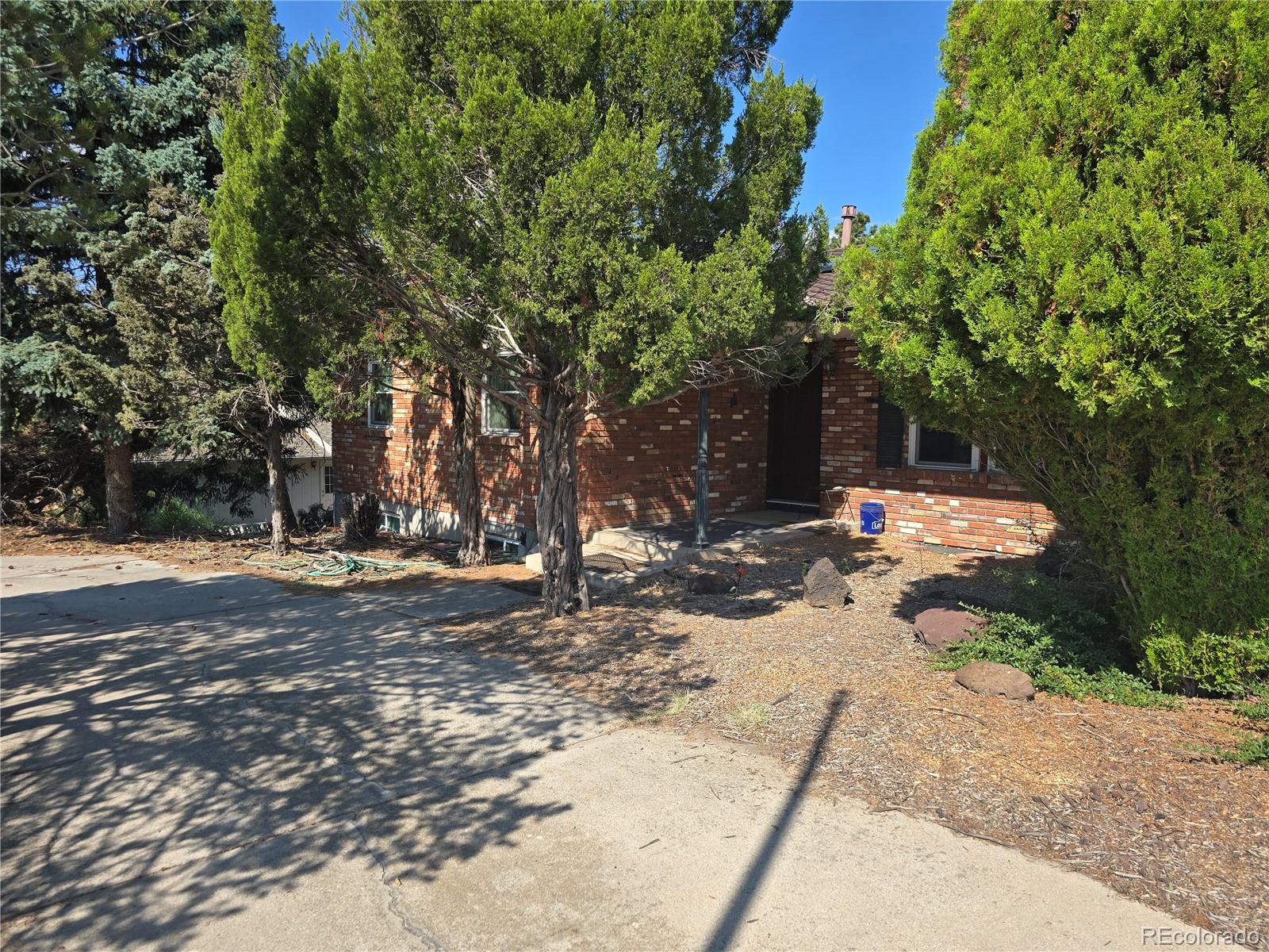MLS Image #17 for 4810  constitution avenue,colorado springs, Colorado