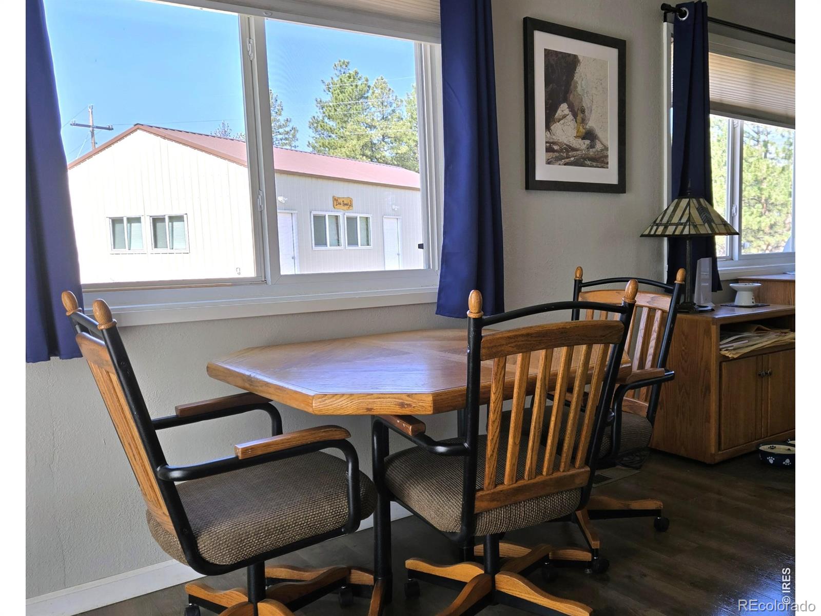 MLS Image #18 for 1002  spruce mountain drive,drake, Colorado