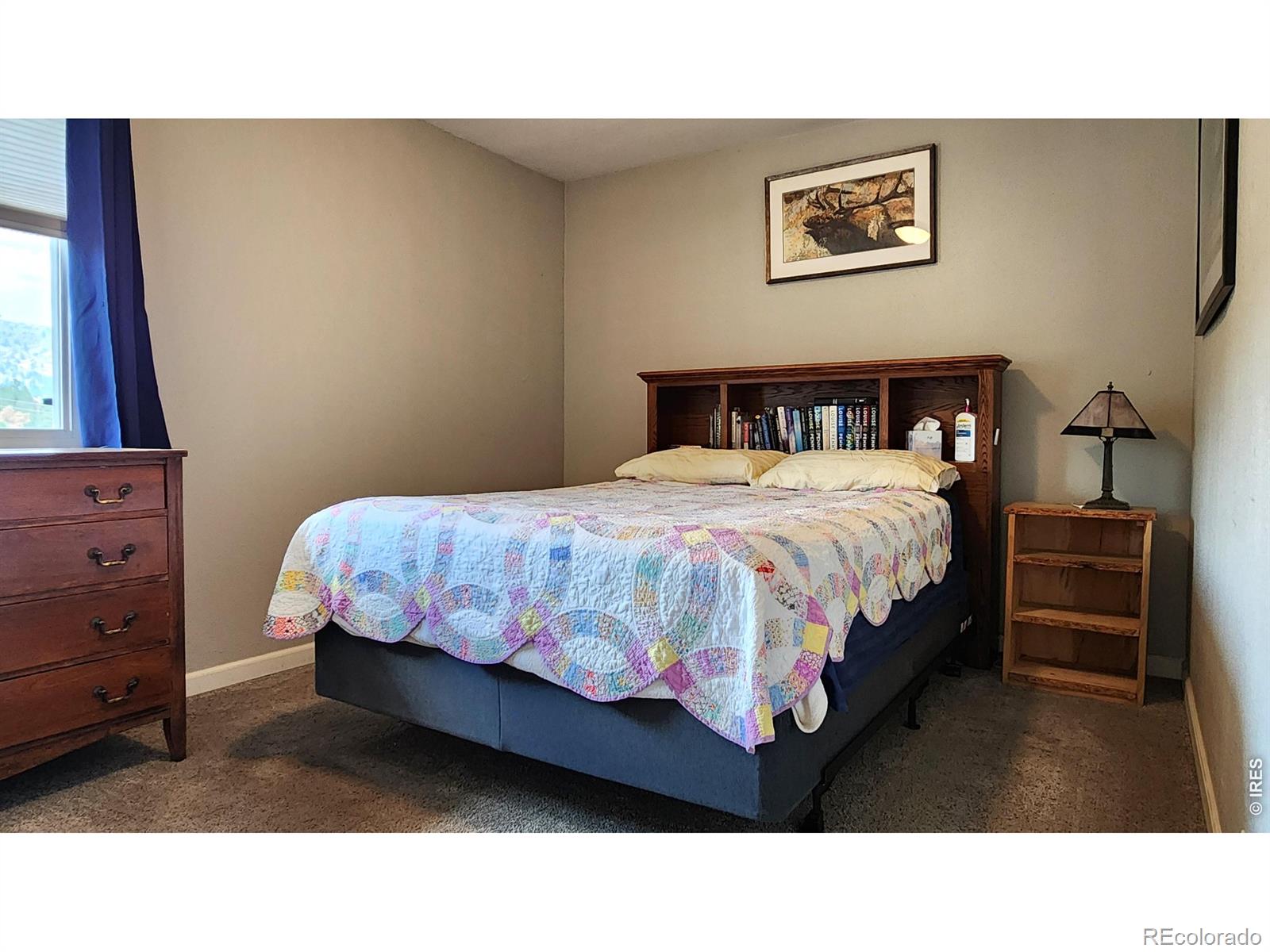 MLS Image #21 for 1002  spruce mountain drive,drake, Colorado