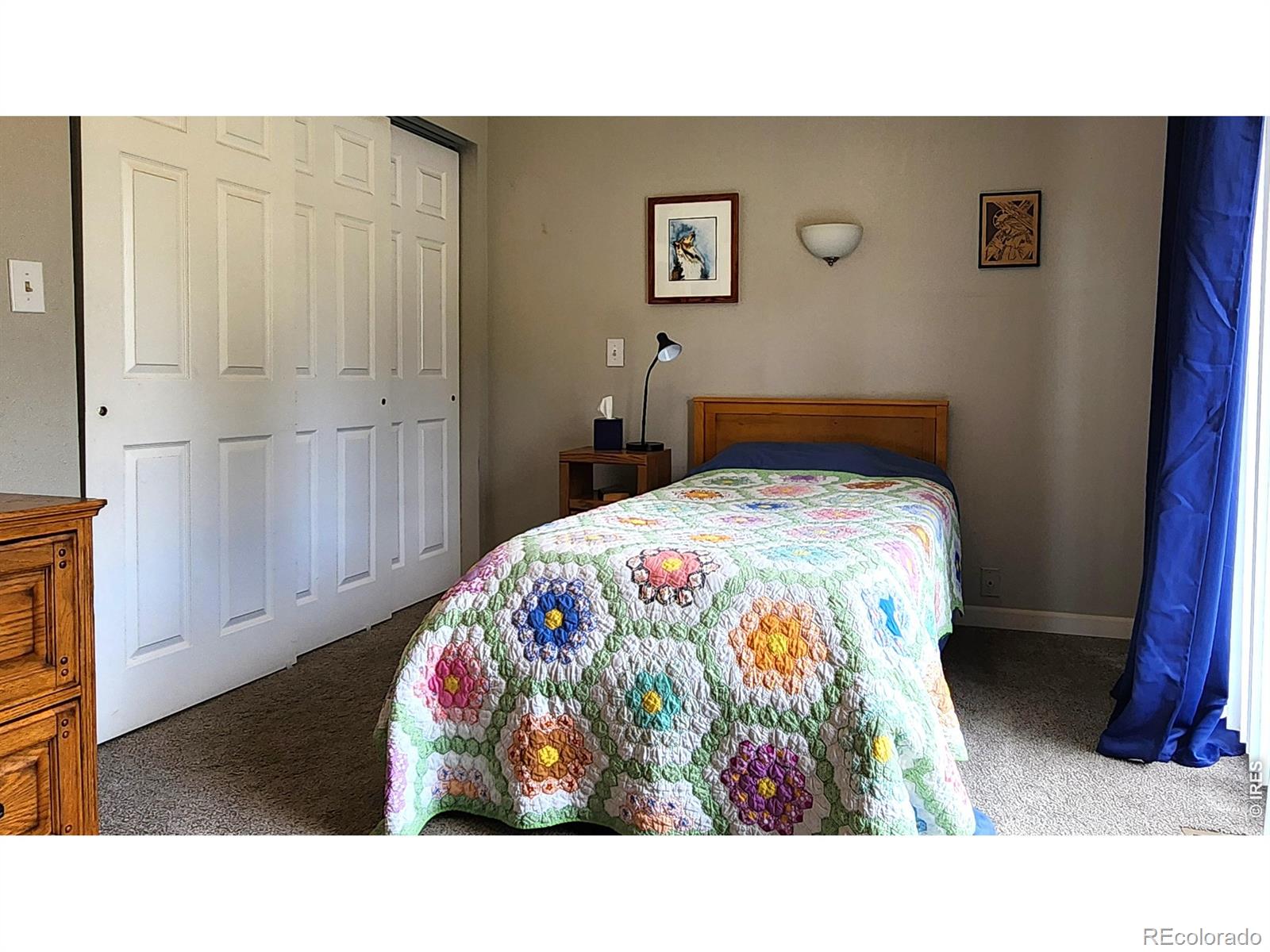 MLS Image #25 for 1002  spruce mountain drive,drake, Colorado