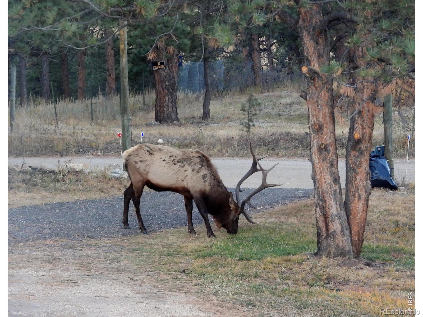 MLS Image #48 for 1002  spruce mountain drive,drake, Colorado
