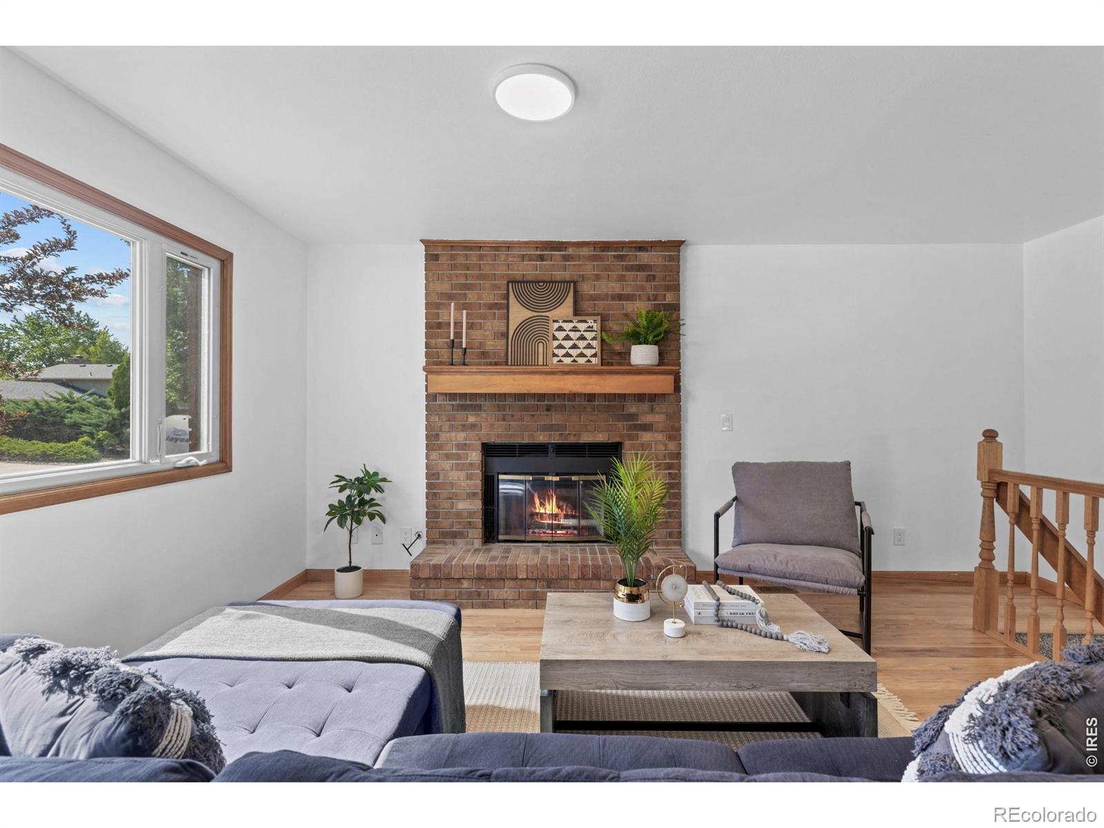 MLS Image #5 for 1685  geneva circle,longmont, Colorado