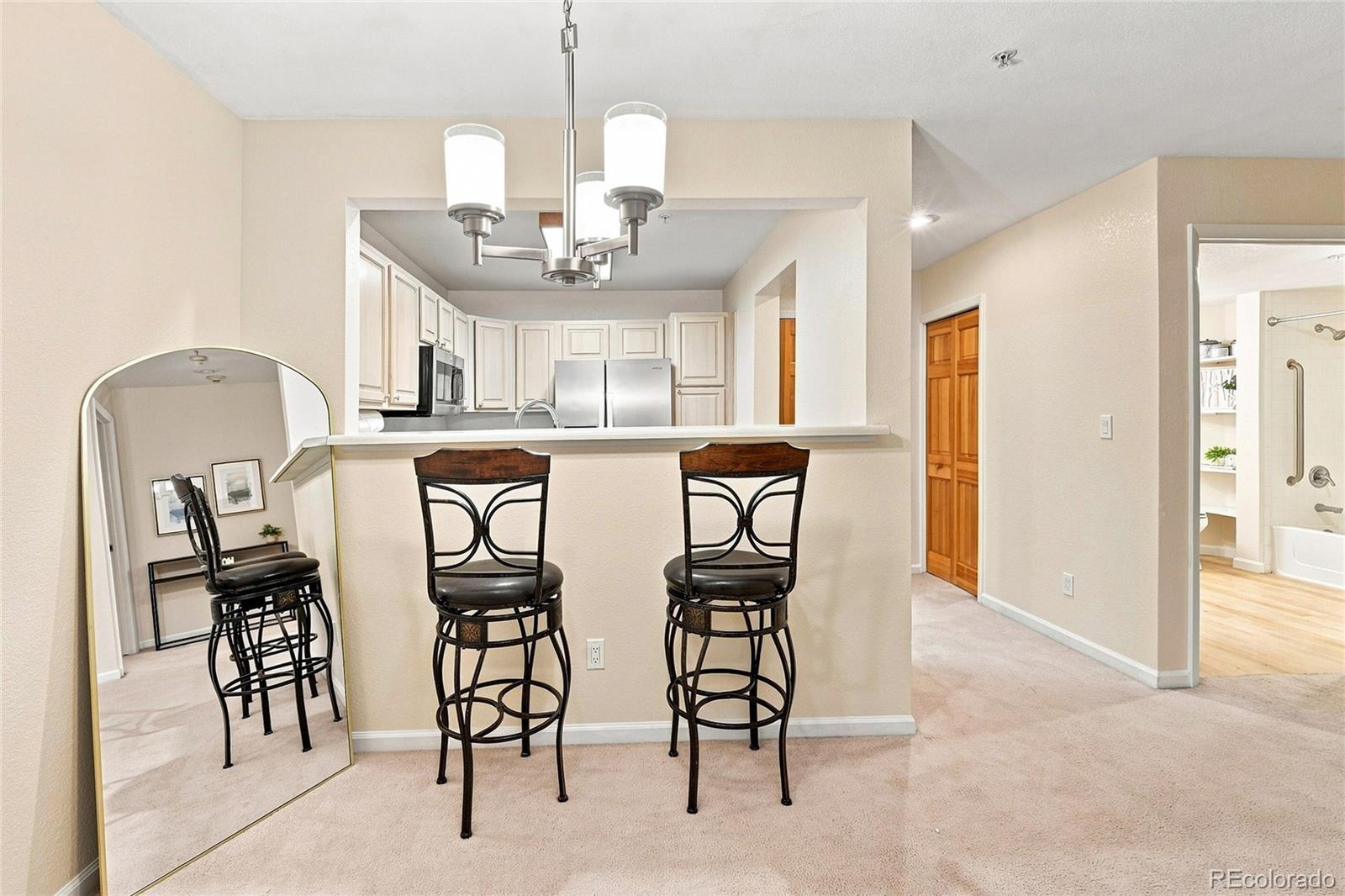 MLS Image #12 for 31719  rocky village drive,evergreen, Colorado