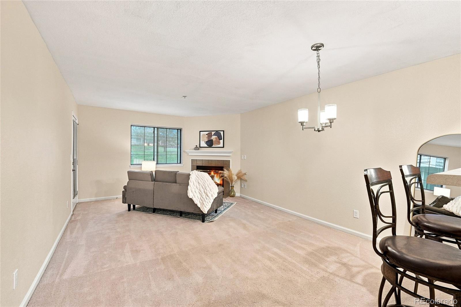 MLS Image #13 for 31719  rocky village drive,evergreen, Colorado