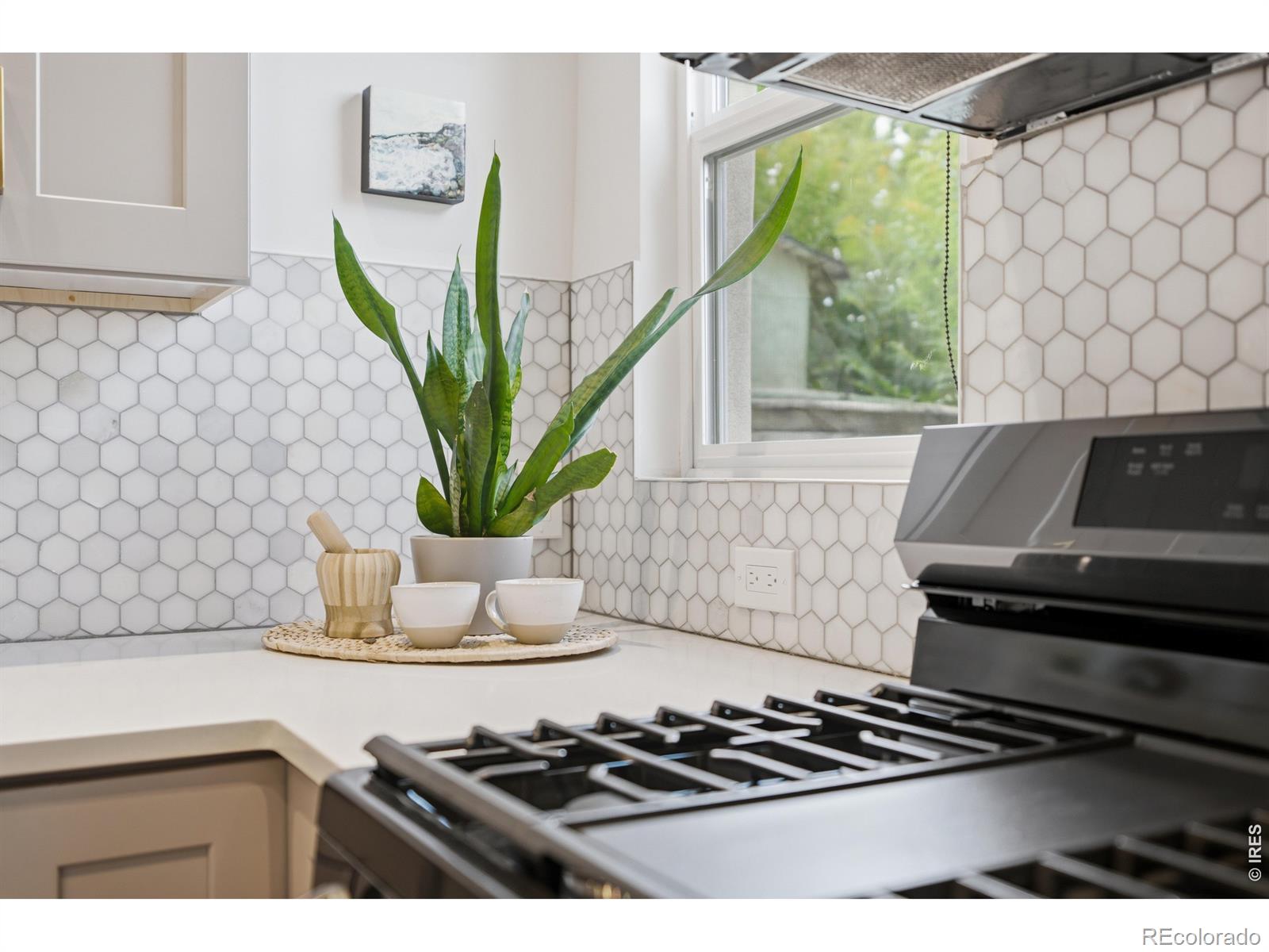 MLS Image #19 for 1419 s acoma street,denver, Colorado
