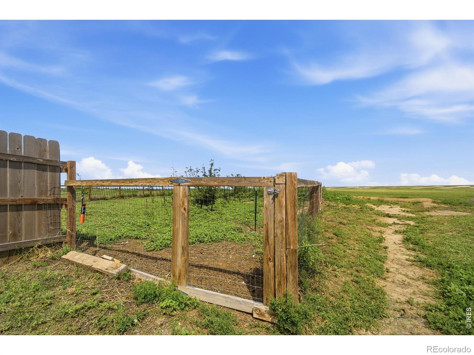 MLS Image #33 for 41893  county road 84 ,briggsdale, Colorado