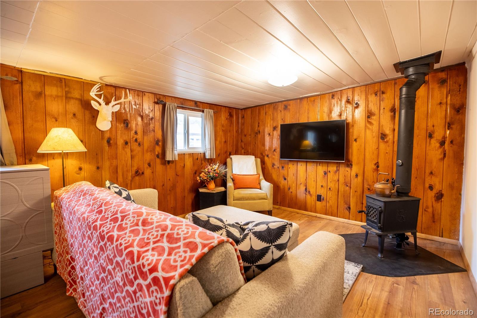 MLS Image #6 for 128 n gunnison avenue,buena vista, Colorado