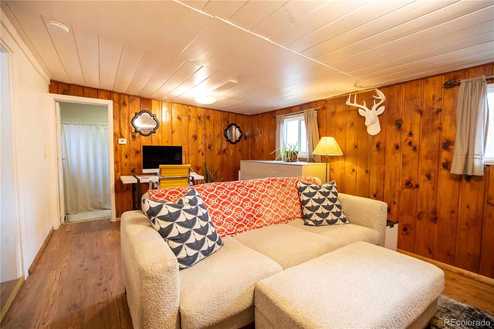MLS Image #8 for 128 n gunnison avenue,buena vista, Colorado