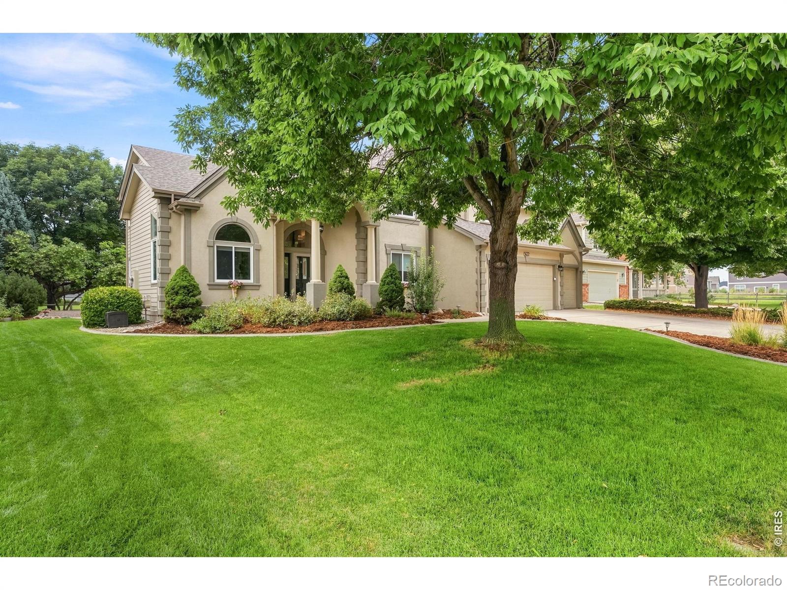 MLS Image #1 for 5632  weeping way,fort collins, Colorado