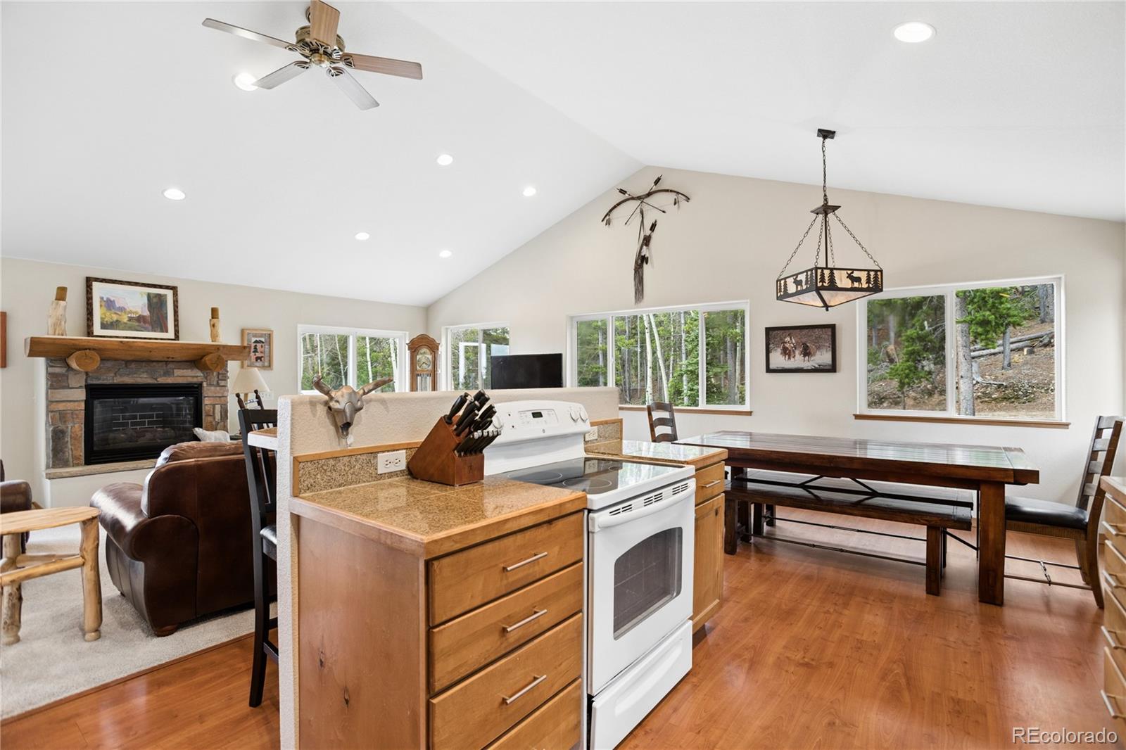MLS Image #14 for 8  yuma trail,evergreen, Colorado