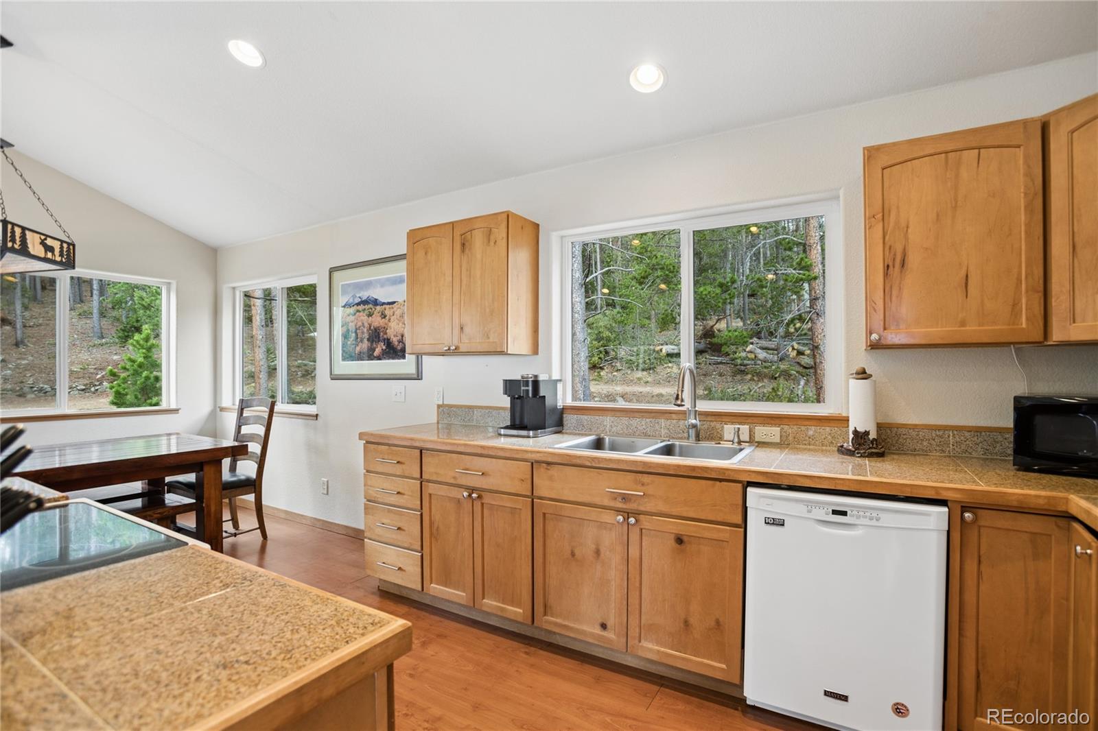 MLS Image #15 for 8  yuma trail,evergreen, Colorado