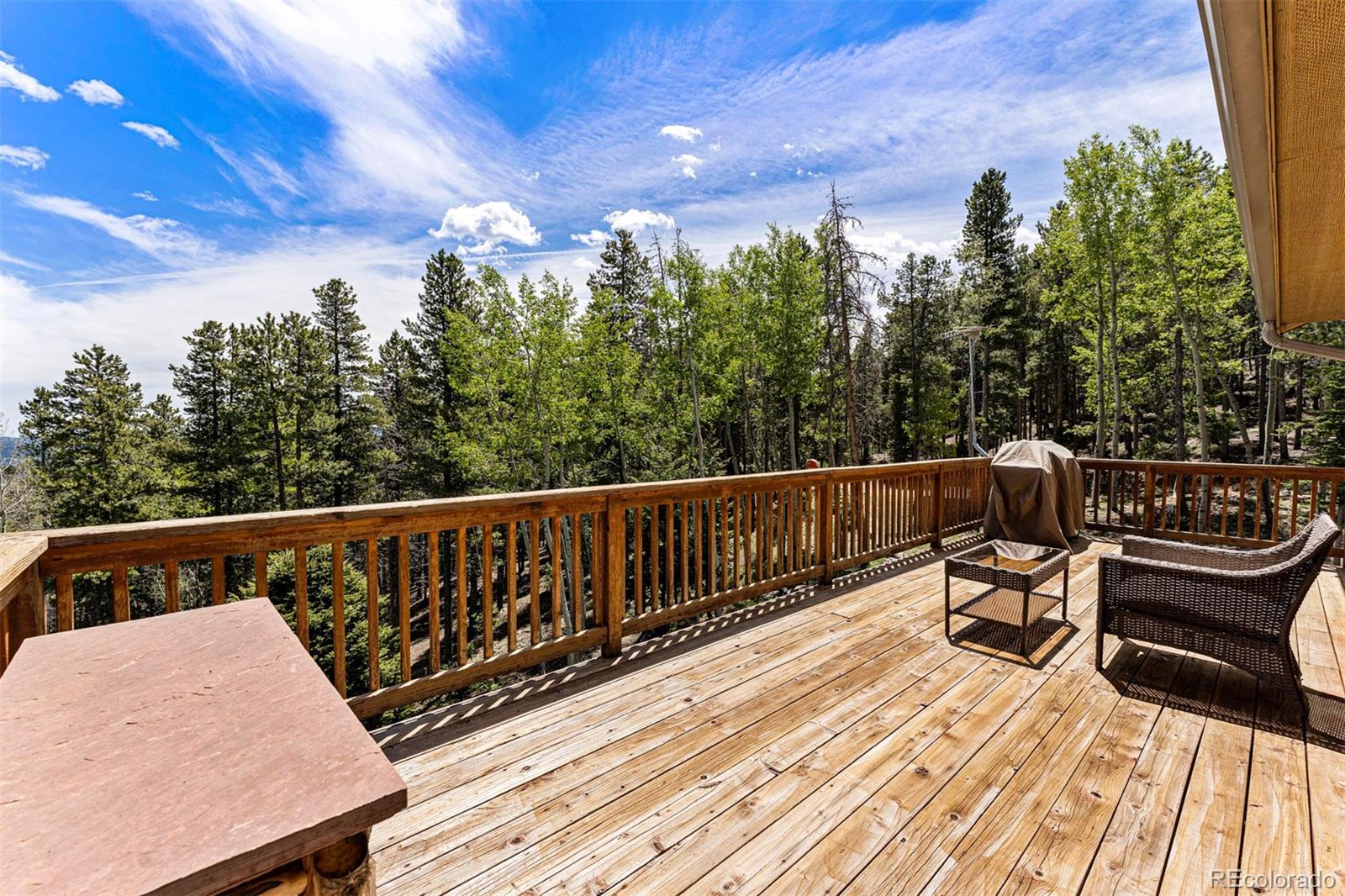 MLS Image #39 for 8  yuma trail,evergreen, Colorado