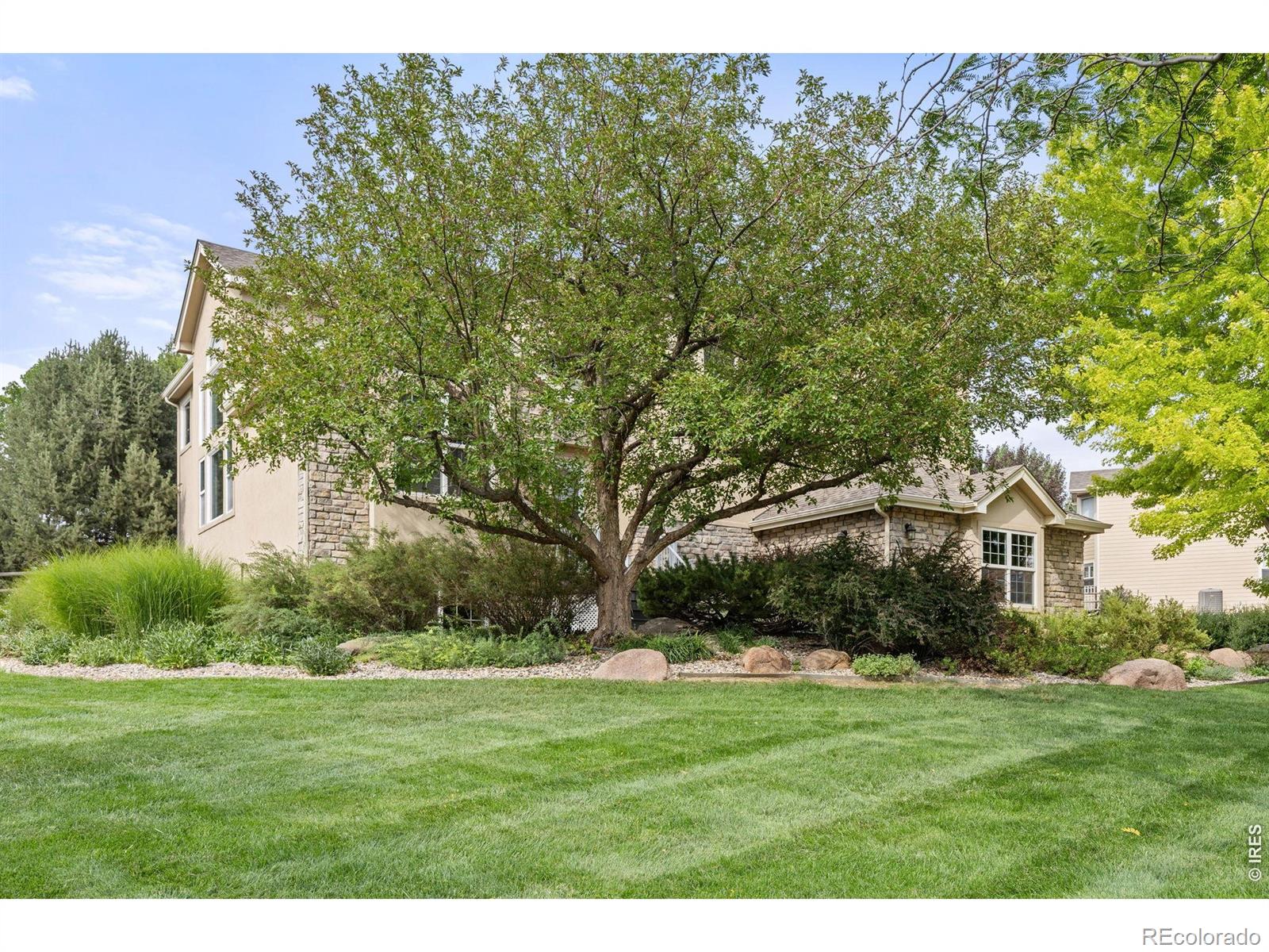 MLS Image #1 for 6632  majestic drive,fort collins, Colorado