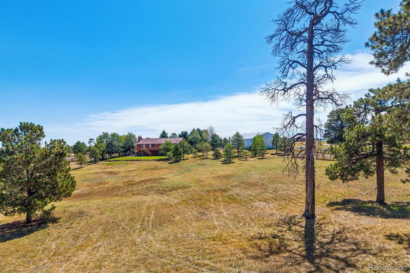 MLS Image #39 for 41029  thunder hill road,parker, Colorado