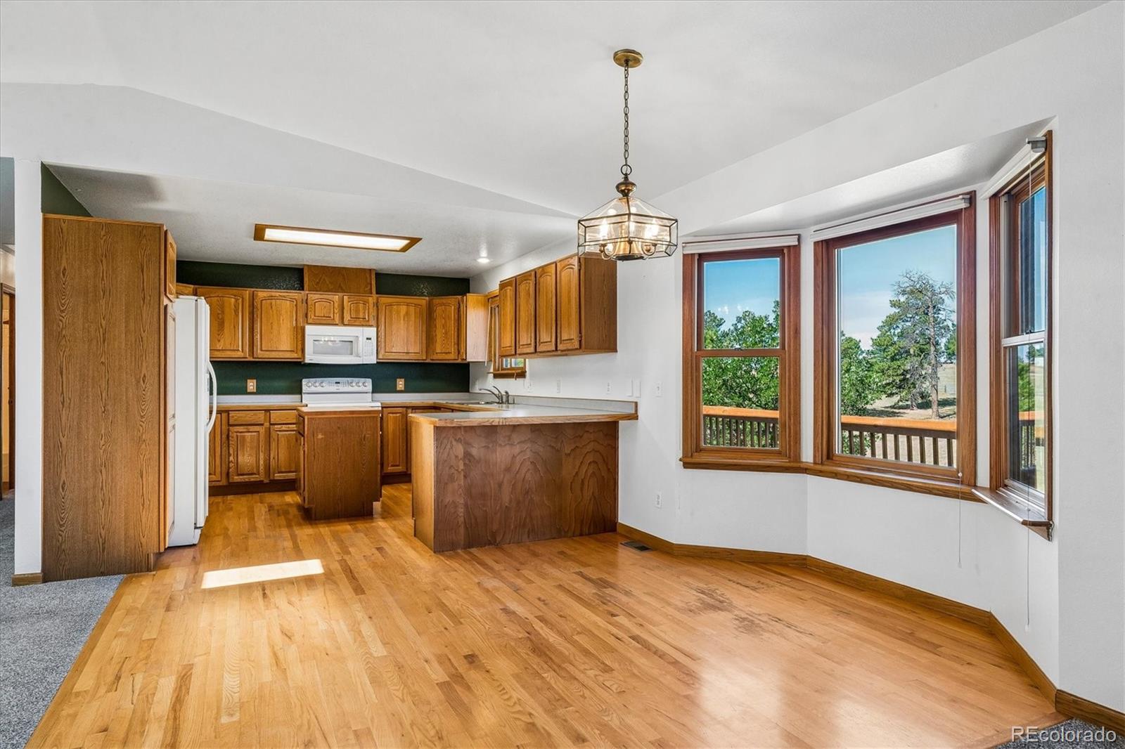 MLS Image #5 for 41029  thunder hill road,parker, Colorado