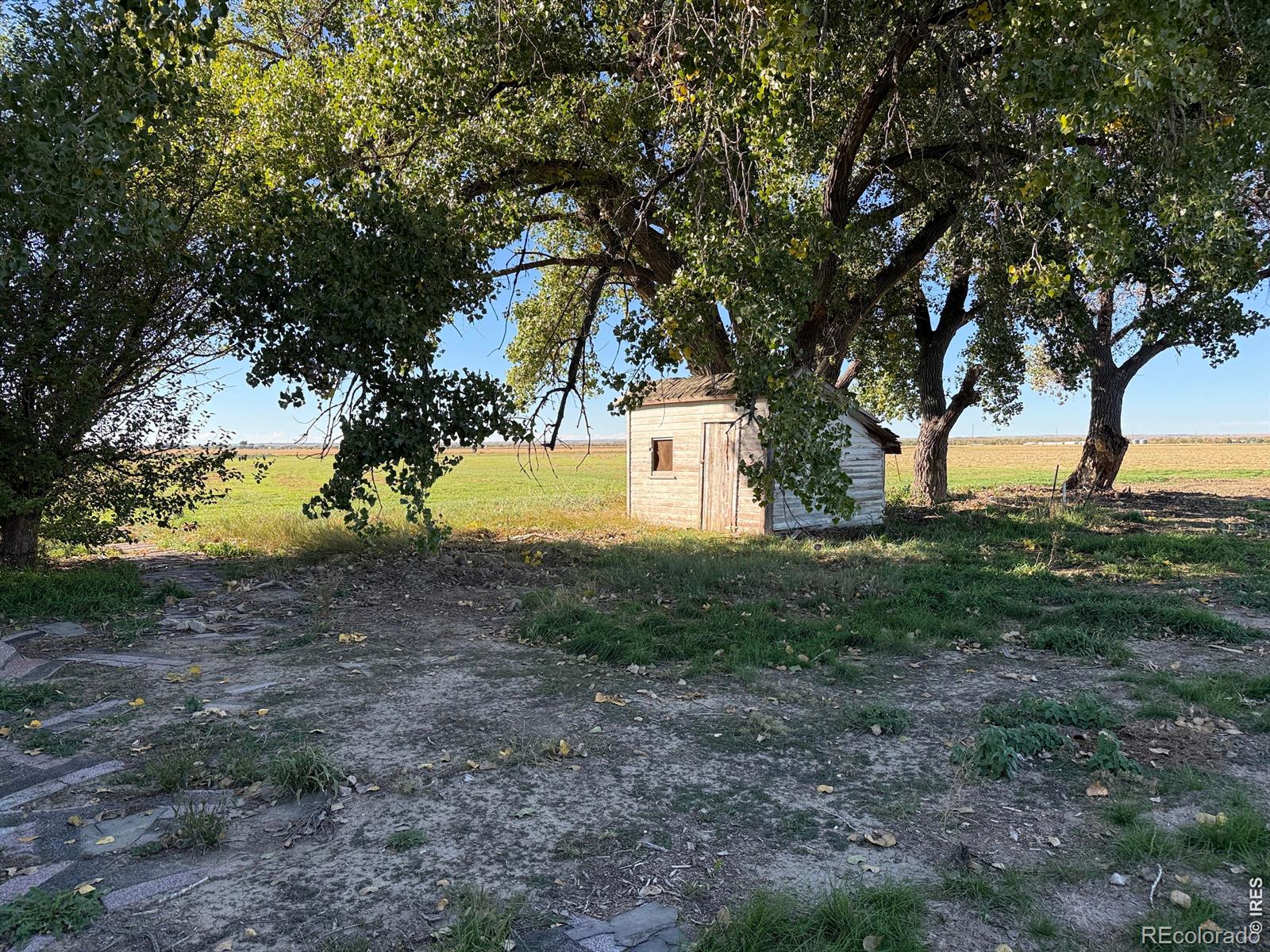 MLS Image #2 for 31123  county road v ,hillrose, Colorado