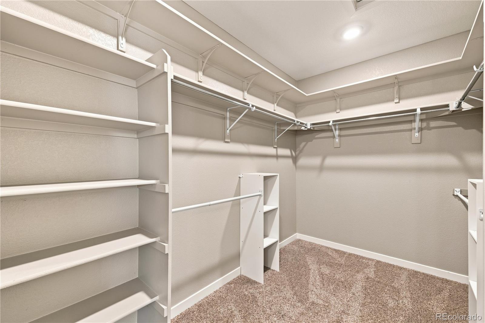 MLS Image #34 for 4830  fiadore lane,castle rock, Colorado