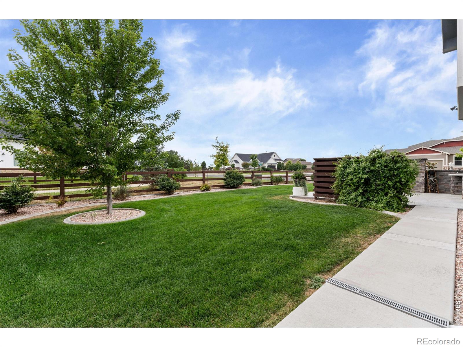 MLS Image #25 for 897  shade tree drive,windsor, Colorado